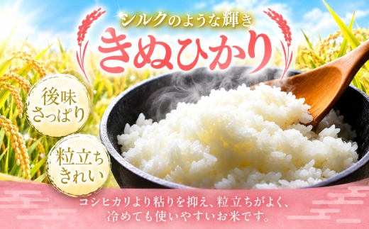 【定期便6回】R8年産 無洗米 きぬひかり 30kg | お米 米 こめ おこめ 精米 キヌヒカリ 30キロ 国産 国産米 くまもと 熊本 熊本県 玉名市 玉名