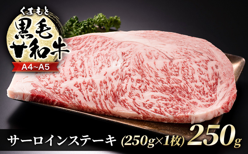 牛肉 A4～A5 くまもと 黒毛和牛 サーロイン ステーキ 250g (250g×1枚) 肉 お肉 ※配送不可：離島