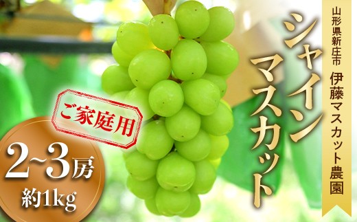 
                  【ご家庭用】シャインマスカット 2～3房（約1kg） ぶどう ブドウ F3S-2964
                
