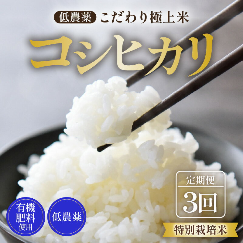 【ふるさと納税】【先行予約】【令和8年産 新米】《定期便》5kg×3回 15kg 特別栽培米 コシヒカリ 低農薬 《食味値85点以上！こだわり極上米》 / 福井県 あわら 北陸 米 お米 人気 高品質 鮮度抜群 新米 ※2026年9月上旬より順次発送