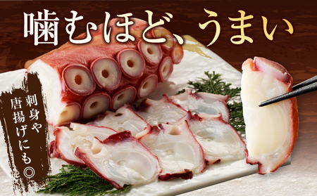 【令和8年2月発送分】＜新物・2025年産＞浜ゆでたこ足（350g前後×2袋）北海道浜中町産_H0023-041-R802