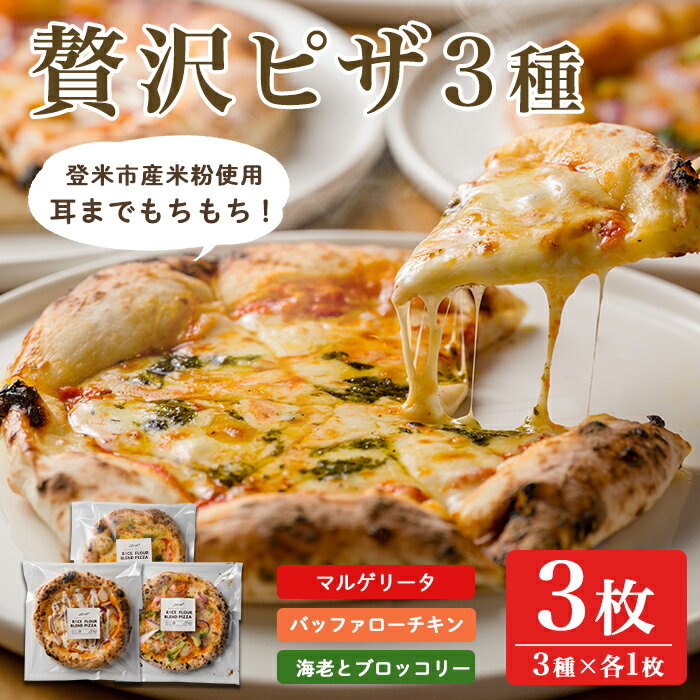 【ふるさと納税】≪登米市産米粉使用≫ HAIJI贅沢ピザ3枚セット (3種×各1枚) ピザ マルゲリータ モッツァレラ 小麦 国産小麦 米粉 冷凍 チーズ 食べ比べ セット 【HAIJI】tm544