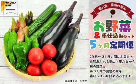 【福岡八女・奥八女】里山の恵み　お野菜＆手仕込みセット定期便【全５回】※配送不可：北海道と離島（沖縄本島を含む）　072-T066