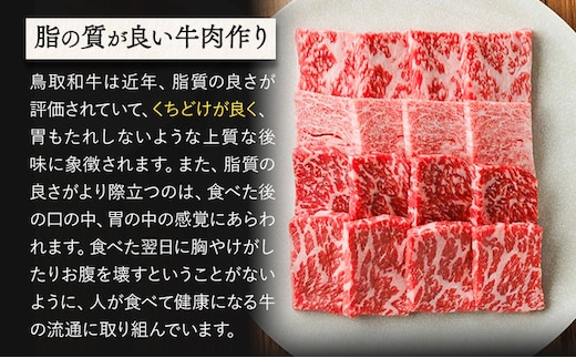 鳥取和牛 赤身＆霜降り焼肉用切り落とし 計300g 株式会社 やまのおかげ屋《90日以内に出荷予定(土日祝除く)》鳥取県 八頭町 和牛 牛肉 牛 やきにく 送料無料