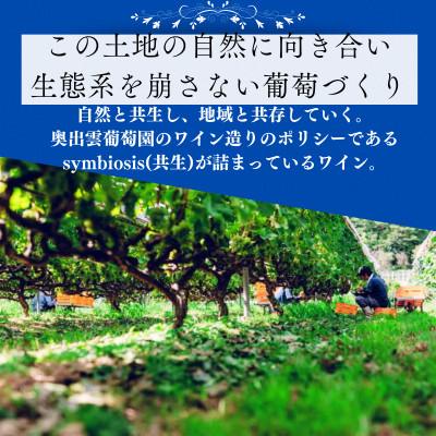 ふるさと納税 雲南市 杜のワイン白 750ml×3本 辛口ワイン 白ワイン3本セット |  | 02