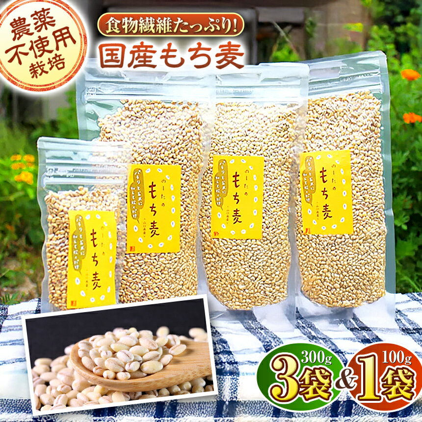 【ふるさと納税】【農薬・化学肥料不使用】もち麦300g3袋＆100g1袋　≪真空パック≫