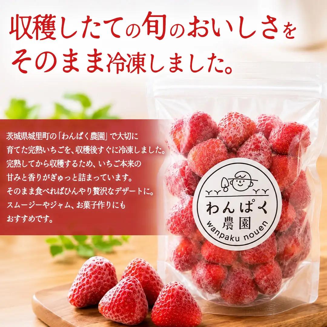 冷凍 完熟 イチゴ 1kg ( 500g × 2袋 )  (BT003)