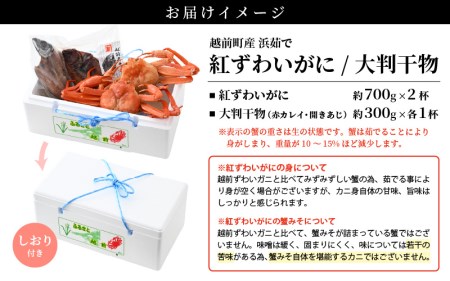 【訳あり】浜茹で 紅ずわいがに 2杯 & 大判干物「赤かれい・あじ」セット【6月発送分】【越前産 紅ズワイガニ カニ かに 蟹 姿 ボイル 冷蔵 福井県】希望日指定不可 [e14-x003_06]