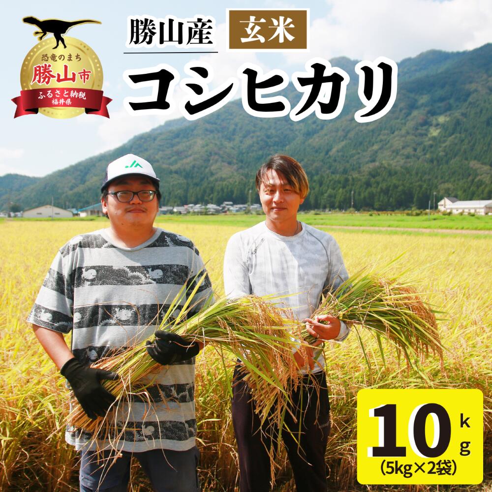 【ふるさと納税】【先行予約】【令和8年産 新米】勝山産 コシヒカリ 玄米 ※2026年9月中旬頃より順次発送予定｜ 人気の米 コシヒカリ お米 玄米 国産 ブランド米 ご飯 ごはん 直送 おすすめ 北陸 福井県産 勝山市