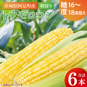 【先行予約 6月下旬から順次配送】トウモロコシ6本入　黄6入【新鮮 野菜 甘い とうもろこし 玉蜀黍 茨城県 阿見町産】(73-01)