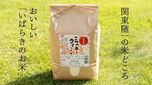 令和7年産 茨城県産 玄米 ミルキークイーン 30kg （30kg×1袋）