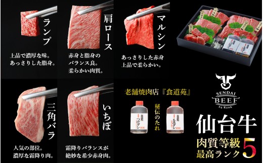 【肉質等級 最高ランク】定期便10回 仙台牛 焼肉 最高級和牛 食べ比べ わいわい 焼肉セット 600g 専用のタレ2本付き ブランド牛 詰め合わせ 盛り合わせ A5 セット 肉 牛肉 牛 大崎市 ｜