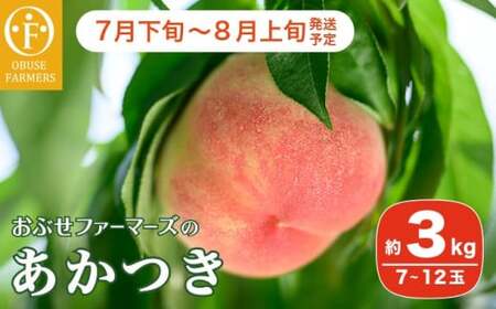 あかつき 約3kg 7～12玉 ［おぶせファーマーズ］桃 もも モモ フルーツ 果物 クール便 冷蔵便 長野県産 信州産  令和8年産【2026年7月下旬～8月上旬発送】［F-16］