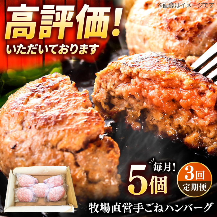 【3回定期便】牧場直営店の手作りハンバーグ（140g×5個）【川崎畜産】 [IAX057]