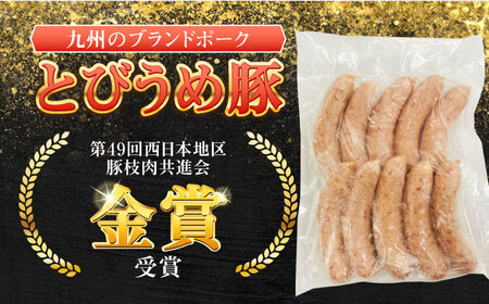 大分県日田産 とびうめ豚 フランクフルト 900g  日田市 フランクフルト [ARCM006]