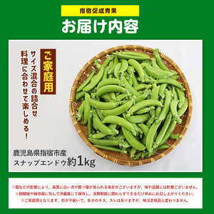 2026年2月上旬頃～発送【産地直送！新鮮旬野菜！】ご家庭用スナップエンドウ約1kg (指宿促成青果/IB092-001) 野菜 旬 スナップエンドウ 訳あり 大容量 国産 詰め合わせ やさい 