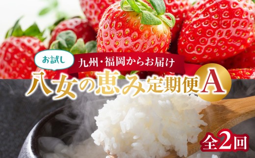 
            九州・福岡からお届け！八女の恵み定期便お試し【全2回】A
          