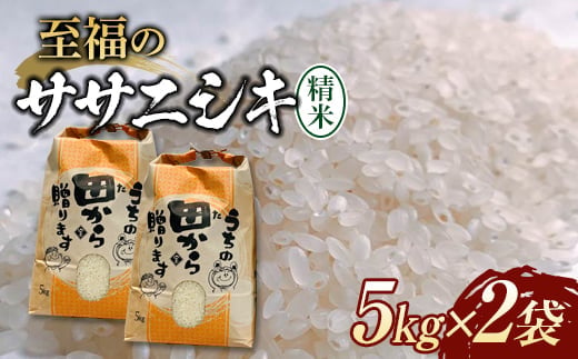 【先行予約】 令和6年産 至福のササニシキ（精米） 10kg（5kg×2） 米 お米 おこめ 山形県 新庄市 F3S-2207