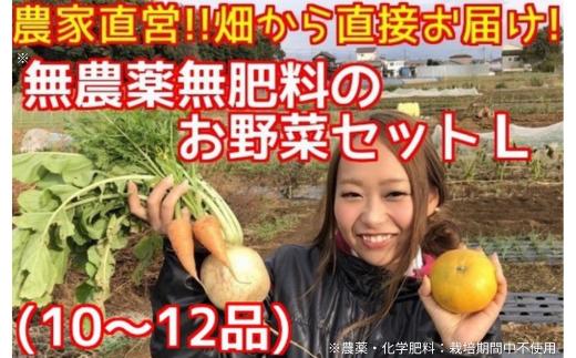 
BR002 松戸市の４人家族から旬の自然栽培野菜セットＬ
