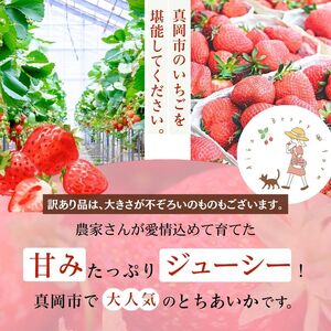 【2月発送】いちご王国の愛され苺 とちあいか 300ｇ以上2パック（平パック）｜2026年 先行予約 2月 苺 いちご イチゴ ストロベリー strawberry 厳選 手作り 特産品 美味しい おい