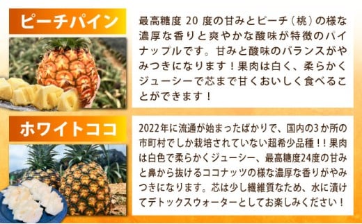 《年4回発送》パイナップル好きにおすすめ！大満足のパイナップル３品種＆マイヤーレモン定期便 《2027年4月以降発送》TF-067-t04