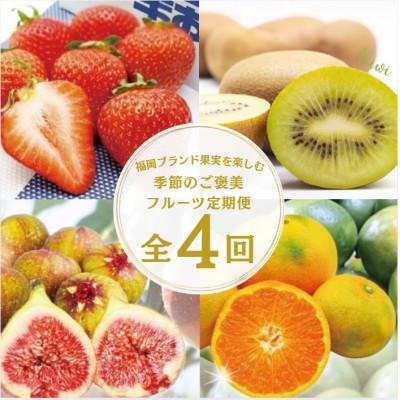ふるさと納税 春日市 【発送月固定定期便】福岡ブランド果実を楽しむ。季節のご褒美フルーツ!(春日市)全4回