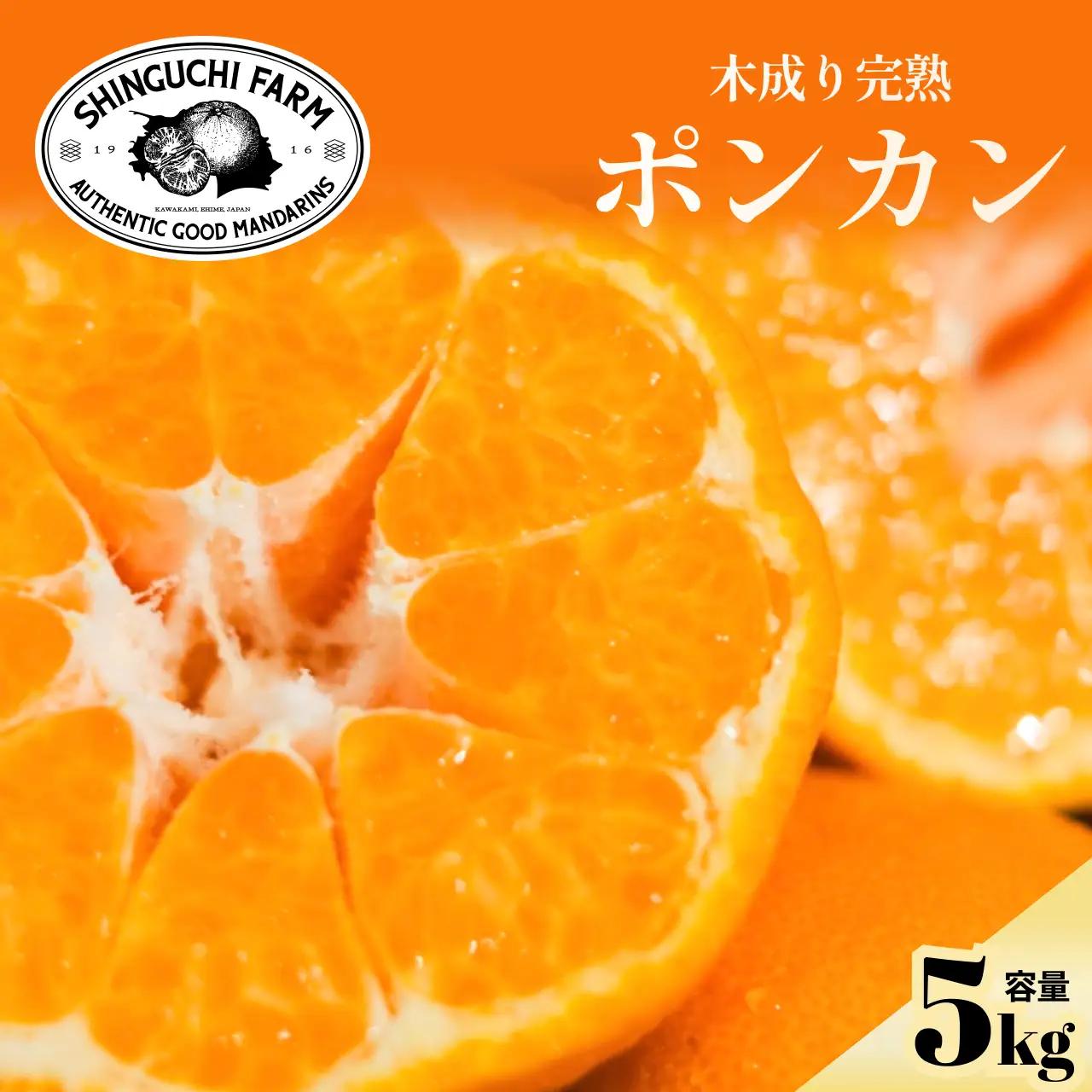 【先行受付】【産地直送】五代目が厳選したポンカン 5kg 愛媛県産【D70-24】【1470666】 YWTK024