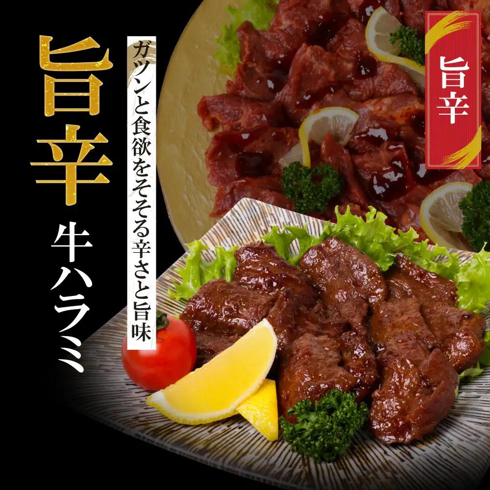 Z61-45 【訳あり】牛ハラミ肉2種(旨辛ダレ、ねぎ塩) 600g 牛肉