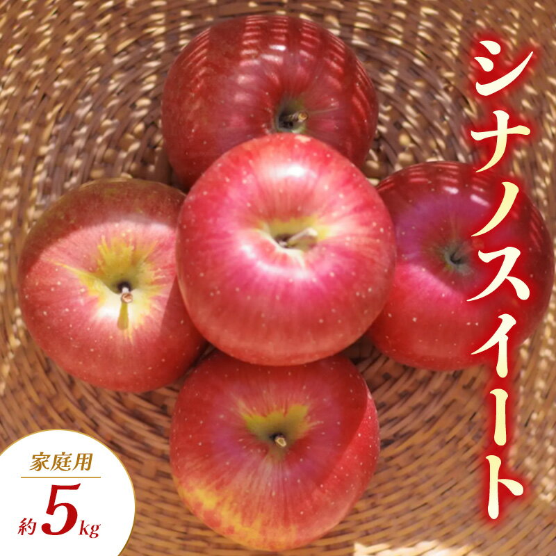 【ふるさと納税】シナノスイート 家庭用 約5kg りんご リンゴ 林檎 果物 フルーツ 長野県 長野 山ノ内町　お届け：2025年10月上旬～11月上旬