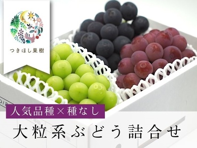 【産地直送】シャインマスカットと大粒系ぶどう詰合せ　１.８ｋｇ以上　0140-2507