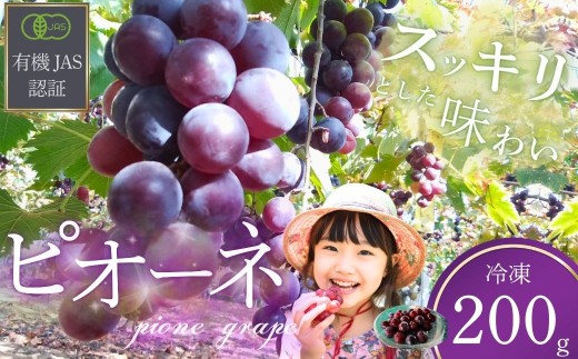ぶどう 【先行予約】「冷凍ぶどう」200g[2026年産] 【ぶどう ブドウ 葡萄 ピオーネ ぴおーね 冷凍ぶどう 冷凍 果物 くだもの クダモノ フルーツ 果実 農薬不使用 化学肥料不使用 有機JAS認証 無選別 おやつ デザート 返礼品】