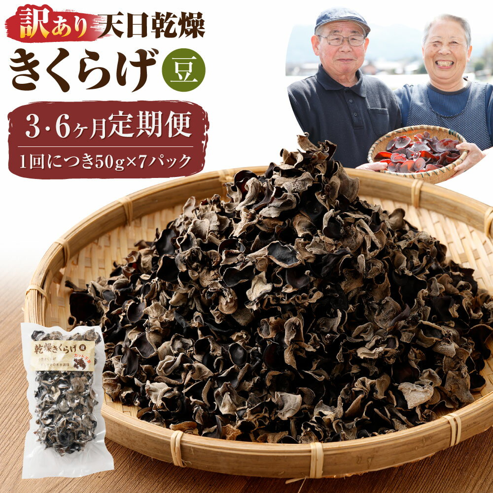 【ふるさと納税】＜選べる定期便＞【訳あり】天日乾燥きくらげ 「小葉（豆）」 1回あたり計350g（50g×7パック） 1ヶ月毎 3回 6回 計21パック 計42パック 計1050g 計2.1kg キクラゲ 木耳 野菜 きのこ キノコ 茸 食物繊維 農薬不使用 料理 国産 九州 熊本県産 人吉市 送料無料