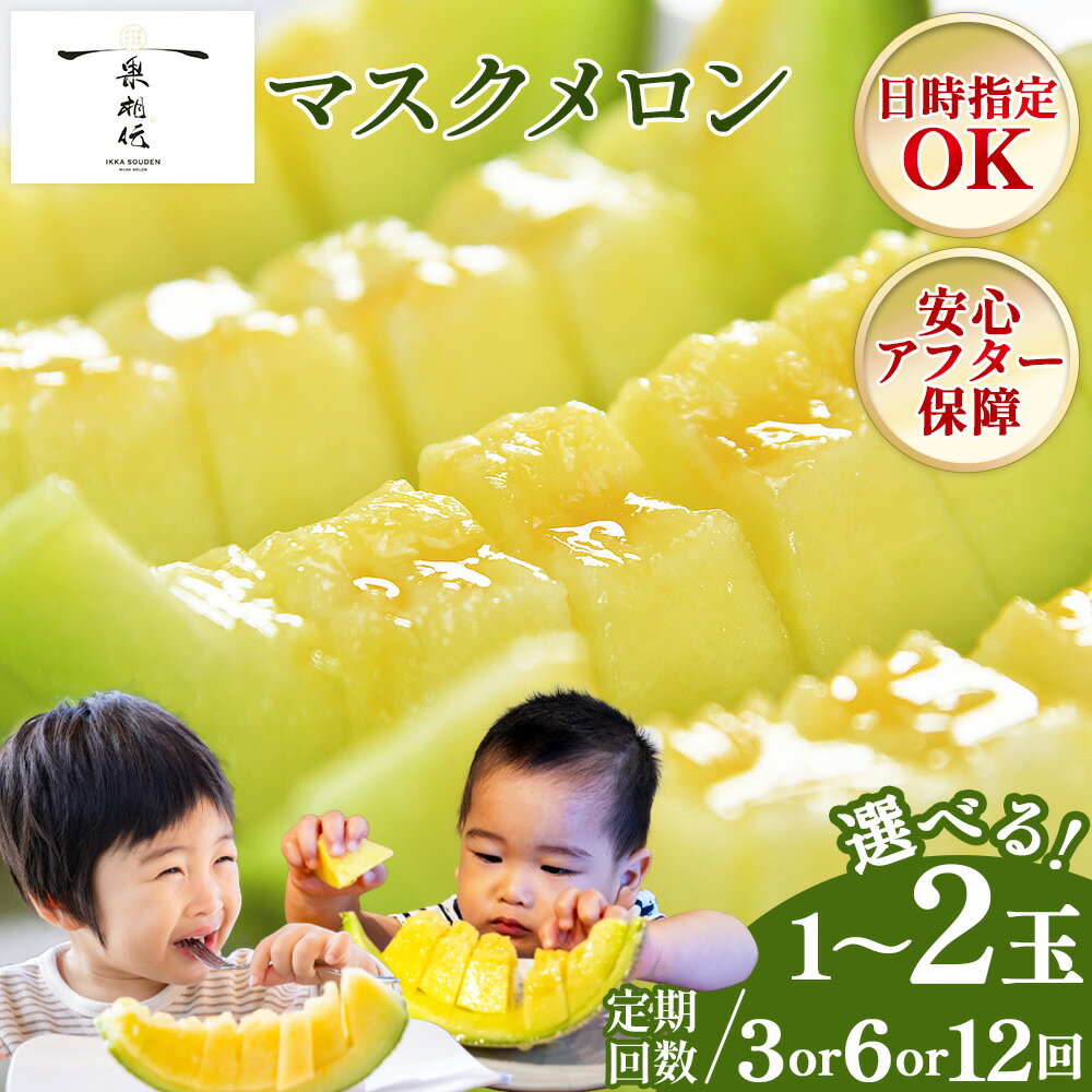 【ふるさと納税】【期間限定】一果相伝 マスクメロン 1玉入り/2玉入り 3回/6回/12回 - 選べる 個数 定期便 送料無料 めろん 青肉 果物 くだもの フルーツ 贈答用 贈答品 贈り物 ギフト お礼 御礼 感謝 お祝い 御祝い 産地直送 新鮮 篤農 高知県 香南市【常温】