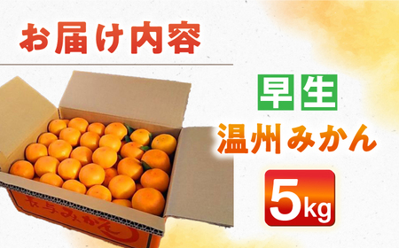 【自然の力を活かした栽培】温州みかん（早生） 5kg -2025年11月中旬より発送- 農事組合法人希望種（きぼうのたね）[ECQ003]  みかん ミカン 柑橘 温州みかん 果物 くだもの フルーツ