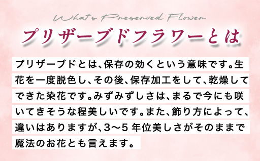 プリザーブドフラワーアレンジ(額装）中　(赤系)　