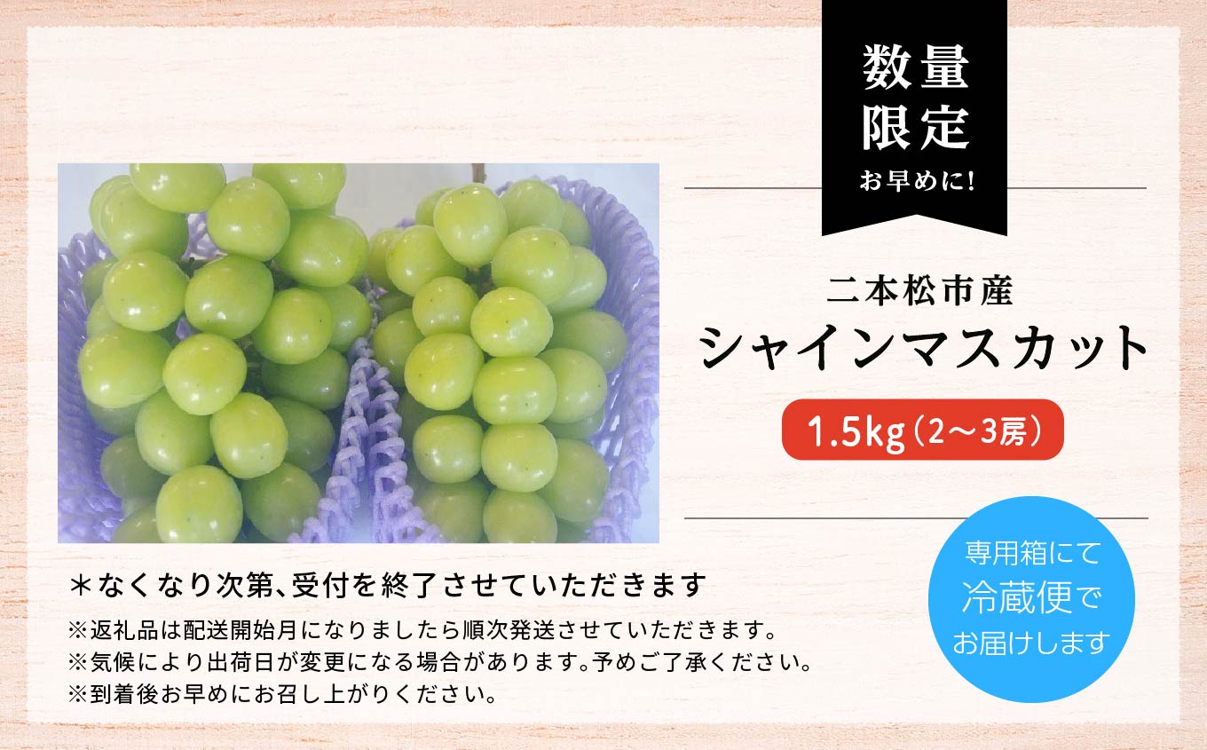 《2025年9月中旬以降発送》羽山のぶどうシャインマスカット1.5kg【羽山果樹組合】