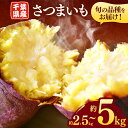 【ふるさと納税】 千葉県産 さつまいも2.5kg or 5kg | 送料無料 人気の直売所 新鮮 人気の直売所 直送 JA きみつ 味楽囲（みらい）さだもと店 君津市 きみつ 千葉県