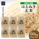 【ふるさと納税】＜令和6年産米＞ 大蔵村 はえぬき ＜玄米＞ 60kg 定期便（10kg×6回お届け）