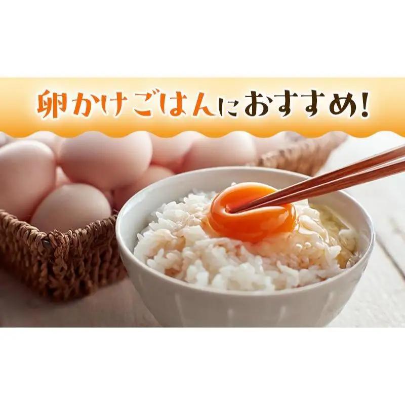 鳥骨鶏卵（30個）とプリン（5個）のセット たまご 烏骨鶏 プリン スイーツ お菓子 静岡県 森町