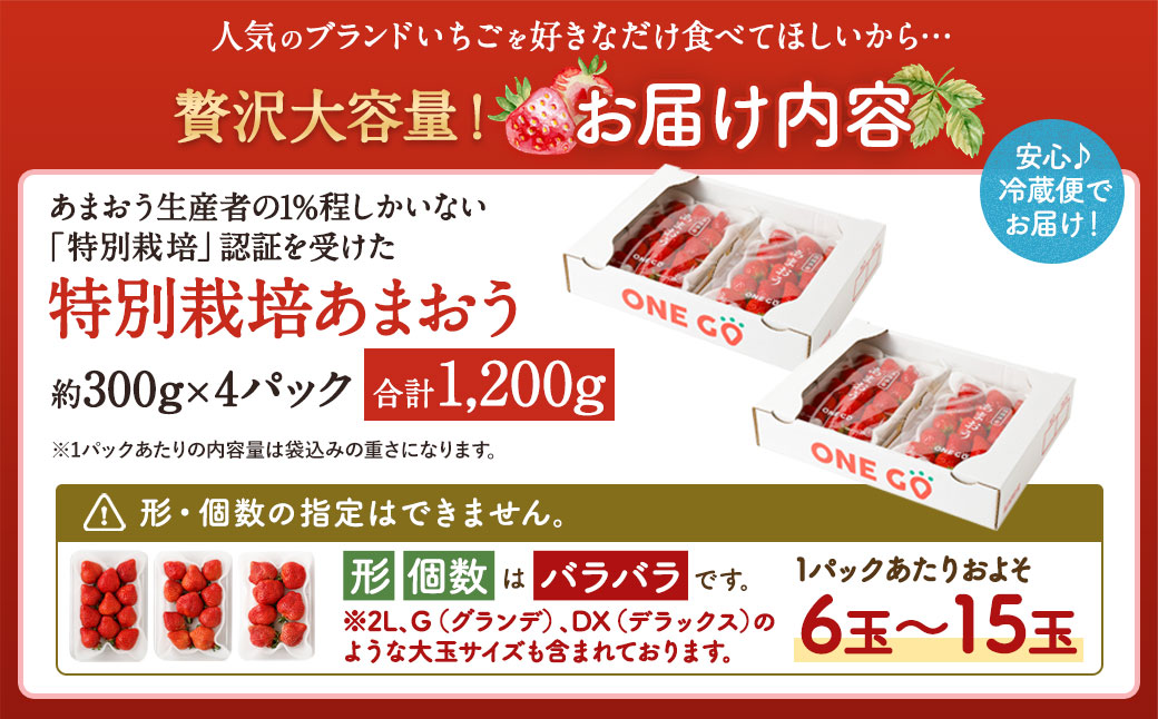 【予約受付】特別栽培 あまおう 1,200g  大粒 不揃い 選べる大容量あまおう （2L,グランデ,DX デラックス）減農薬 あまおう いちご 高級 いちごあまおう イチゴ 苺 フルーツ 果物 ふる