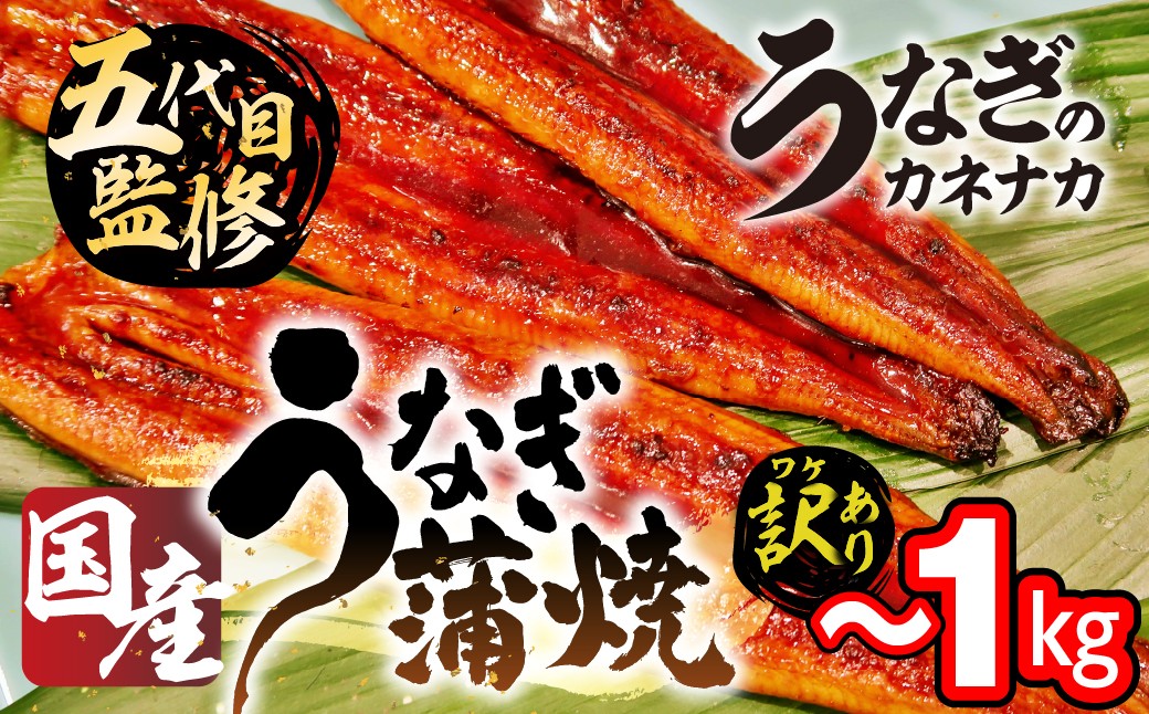 
            国産うなぎ蒲焼 500g~1kg 選べる 蒲焼 うなぎ 鰻 unagi ウナギ 蒲焼 訳あり 不揃い 愛知県 豊橋市
          
