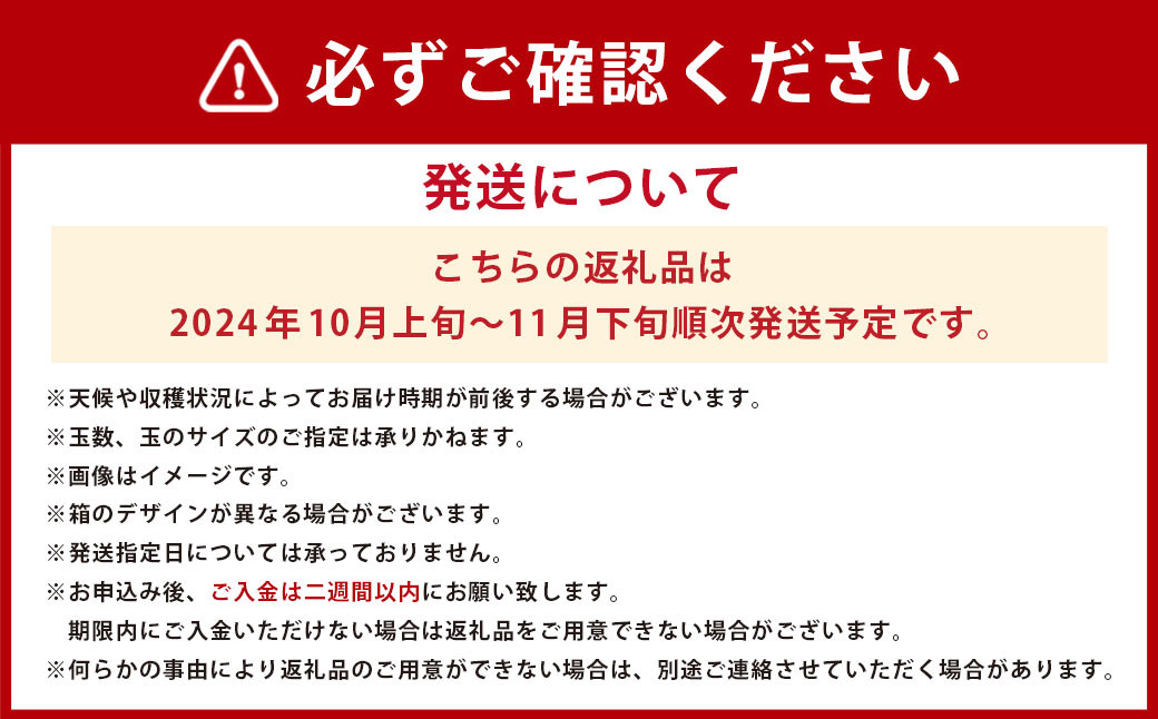  福岡県産 ブランド柿・秋王 約1.5kg(4～6玉)