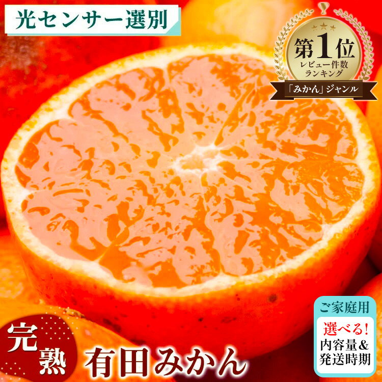 【ふるさと納税】＼選べる内容量・発送月／家庭用 蔵出しみかん（傷み補償分）【光センサー選果】