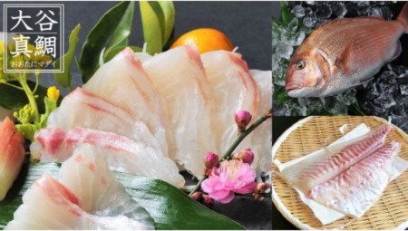 魚 刺身 セット タイ カンパチ 鯛 勘八 高級 葉 にんにく 調味料 タレ付き セット 有機栽培 健康食品 高知県産 ギフトセット 須崎市