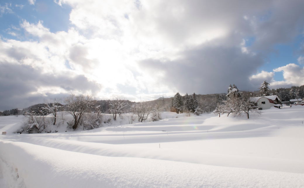 雪に囲まれる、越後の厳しい冬。豪雪として名高い越後の雪も、酒造りには欠かせないもののひとつです。