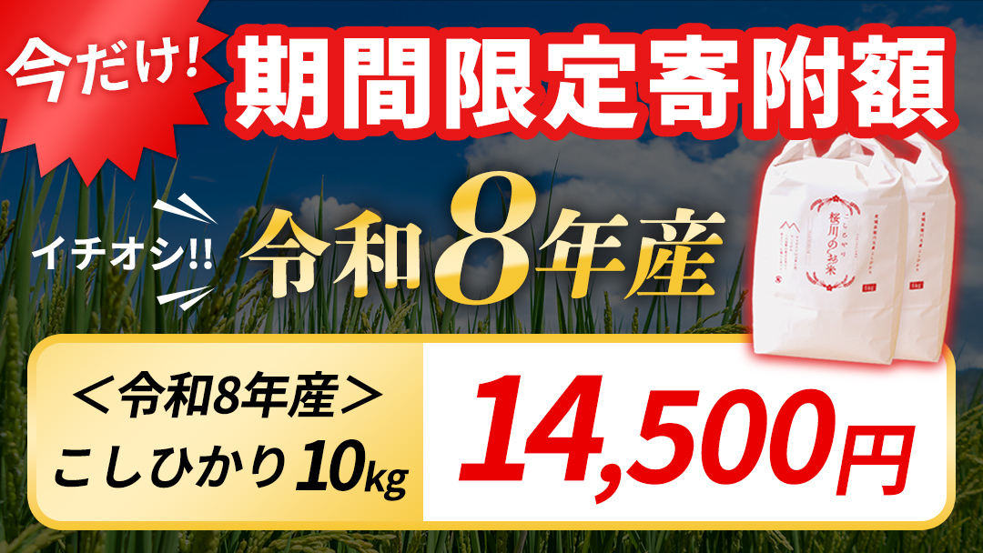 《 令和8年産 》 桜川市産 こしひかり 10kg 新米 先行予約 茨城県 桜川市 米 お米 白米 コメ ごはん 精米 コシヒカリ 国産 限定 銘柄米 [SC050sa]