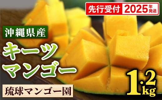 【先行受付】【2025年発送】琉球マンゴー園のキーツマンゴー約1.2kg