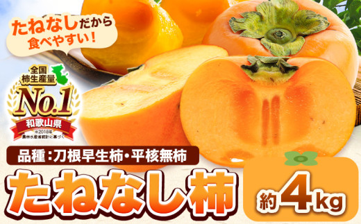 たねなし柿（刀根早生柿・平核無柿）約4kg《9月中旬-11月上旬頃出荷(土日祝除く)》 和歌山県 岩出市 種なし柿 柿 果物 フルーツ 2L～Mサイズ カキ