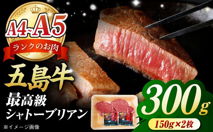 
            【毎月数量限定】五島牛 シャトーブリアン 300g 150g × 2枚 / A4 A5 牛肉 ヒレ フィレ ヘレ 五島市 / 肉のマルヒサ [PCV038]
          
