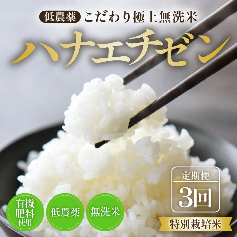 【ふるさと納税】【令和7年産 新米】《定期便》5kg×3回 15kg 特別栽培米 ハナエチゼン 無洗米 低農薬 《こだわり極上無洗米》 / 福井県 あわら 北陸 米 お米 人気